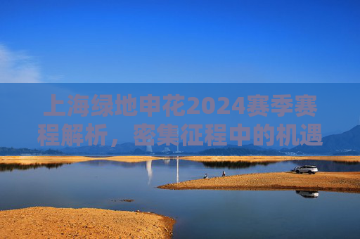 上海绿地申花2024赛季赛程解析,密集征程中的机遇与挑战,上海绿地申花2024赛季赛程解析,密集征程的机遇与挑战