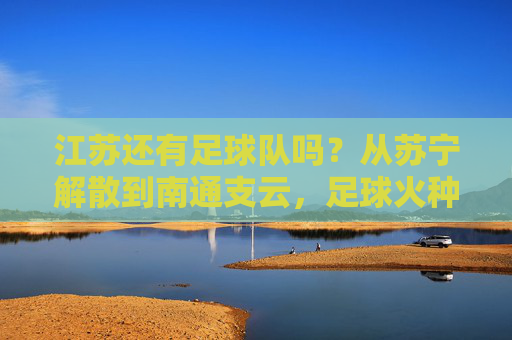 江苏还有足球队吗?从苏宁解散到南通支云,足球火种从未离开,江苏足球火种未灭,从苏宁解散到南通支云的延续