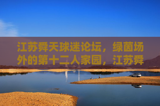江苏舜天球迷论坛，绿茵场外的第十二人家园，江苏舜天球迷论坛，绿茵场外的第十二人家园