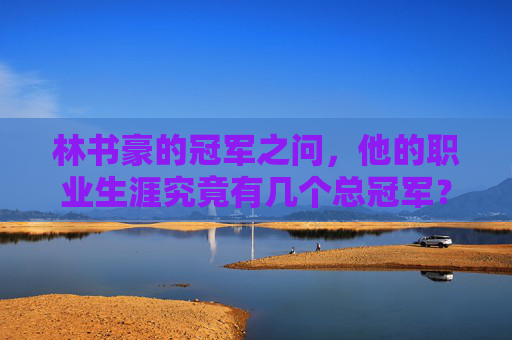 林书豪的冠军之问，他的职业生涯究竟有几个总冠军？林书豪的冠军之问，职业生涯究竟有几个总冠军？
