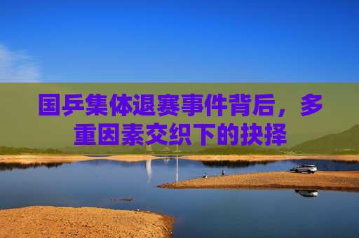 国乒集体退赛事件背后,多重因素交织下的抉择