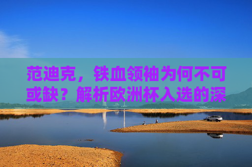 范迪克,铁血领袖为何不可或缺?解析欧洲杯入选的深层逻辑,范迪克,铁血领袖,欧洲杯不可或缺的深层逻辑