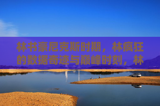 林书豪尼克斯时期,林疯狂的数据奇迹与巅峰时刻,林书豪尼克斯林疯狂,数据奇迹与巅峰时刻