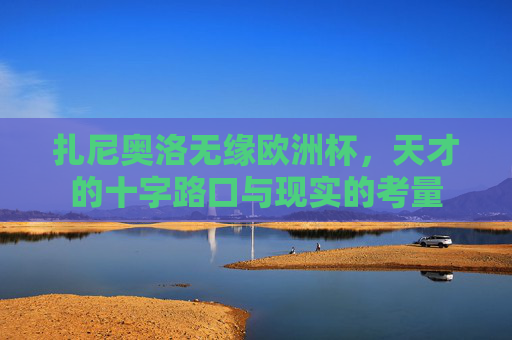 扎尼奥洛无缘欧洲杯,天才的十字路口与现实的考量