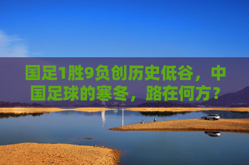 国足1胜9负创历史低谷,中国足球的寒冬,路在何方?