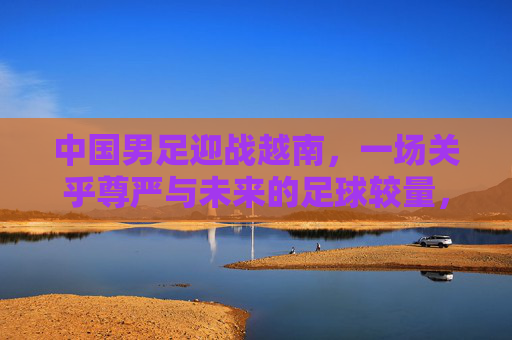 中国男足迎战越南，一场关乎尊严与未来的足球较量，中国男足迎战越南，尊严与未来的足球较量