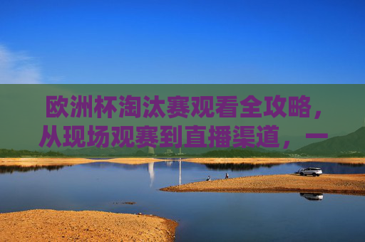 欧洲杯淘汰赛观看全攻略,从现场观赛到直播渠道,一篇搞定,欧洲杯淘汰赛观看全攻略,现场观赛与直播渠道一篇搞定