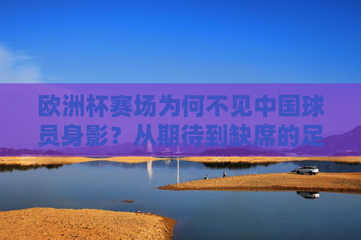 欧洲杯赛场为何不见中国球员身影?从期待到缺席的足球之问,欧洲杯赛场不见中国球员身影,期待缺席的足球之问