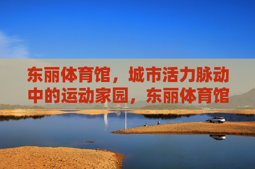 东丽体育馆,城市活力脉动中的运动家园,东丽体育馆,城市活力脉动中的运动家园