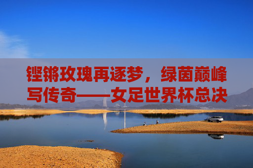 铿锵玫瑰再逐梦，绿茵巅峰写传奇——女足世界杯总决赛启示录，铿锵玫瑰逐梦绿茵巅峰，女足世界杯传奇启示录