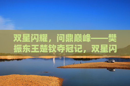 双星闪耀，问鼎巅峰——樊振东王楚钦夺冠记，双星闪耀，问鼎巅峰