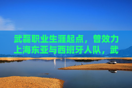 武磊职业生涯起点,曾效力上海东亚与西班牙人队,武磊职业生涯起点,从上海东亚到西班牙人队