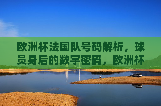 欧洲杯法国队号码解析,球员身后的数字密码,欧洲杯法国队号码解析,球员身后的数字密码
