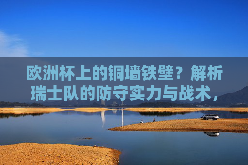 欧洲杯上的铜墙铁壁？解析瑞士队的防守实力与战术，欧洲杯铜墙铁壁，瑞士队防守实力与战术解析