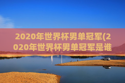 2020年世界杯男单冠军(2020年世界杯男单冠军是谁)2020年世界杯男单冠军揭晓