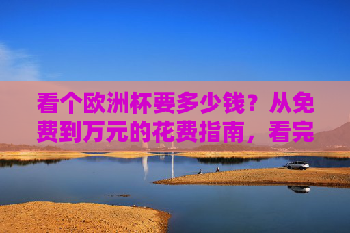 看个欧洲杯要多少钱？从免费到万元的花费指南，看完再决定怎么追，欧洲杯观赛花费指南，从免费到万元