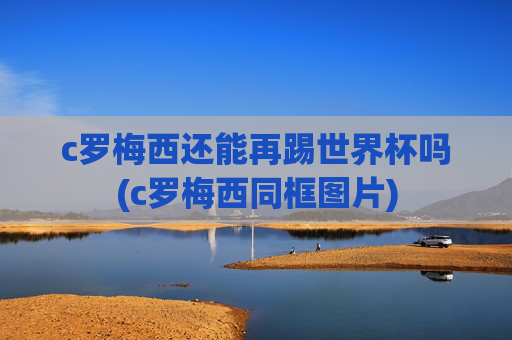 c罗梅西还能再踢世界杯吗(c罗梅西同框图片)