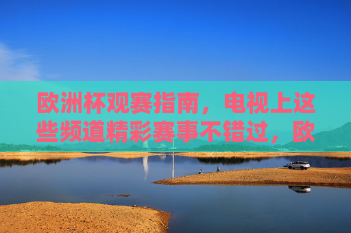 欧洲杯观赛指南，电视上这些频道精彩赛事不错过，欧洲杯观赛指南，电视频道精彩赛事不错过