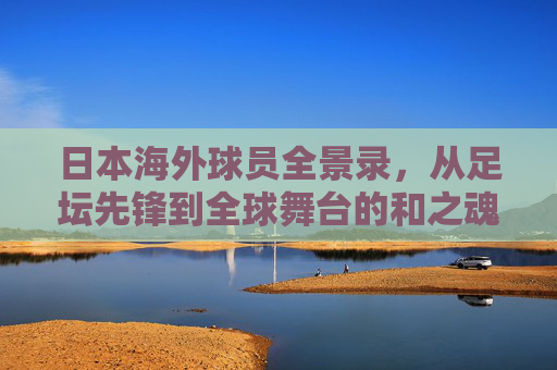 日本海外球员全景录,从足坛先锋到全球舞台的和之魂,日本海外球员全景录,足坛先锋到全球舞台的和之魂