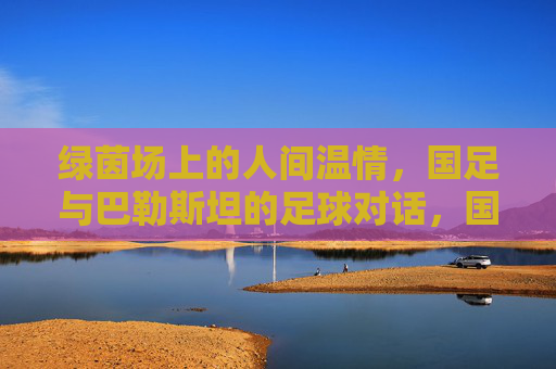绿茵场上的人间温情,国足与巴勒斯坦的足球对话,国足与巴勒斯坦,绿茵场上的温情对话