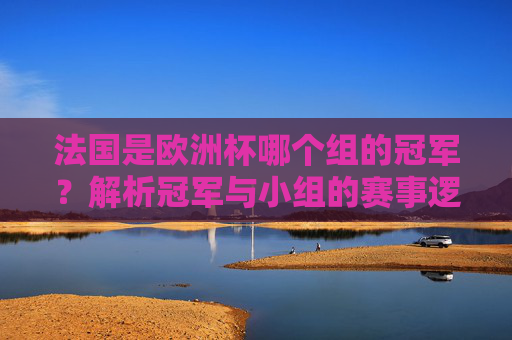 法国是欧洲杯哪个组的冠军？解析冠军与小组的赛事逻辑，法国欧洲杯小组冠军归属及赛事逻辑解析