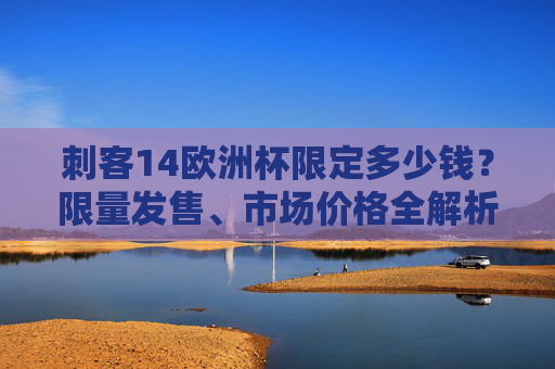 刺客14欧洲杯限定多少钱?限量发售、市场价格全解析,刺客14欧洲杯限定价格全解析,限量发售与市场行情