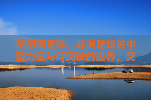 突尼斯足球,非洲足坛的中坚力量与待突破的边界,突尼斯足球,非洲足坛中坚力量与待突破边界
