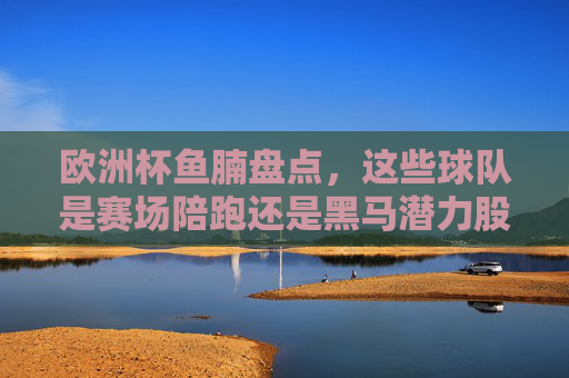 欧洲杯鱼腩盘点，这些球队是赛场陪跑还是黑马潜力股？欧洲杯鱼腩盘点，赛场陪跑还是黑马潜力股？