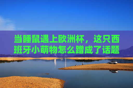 当睡鼠遇上欧洲杯,这只西班牙小萌物怎么蹭成了话题王?睡鼠闯欧洲杯,西班牙小萌物成话题王