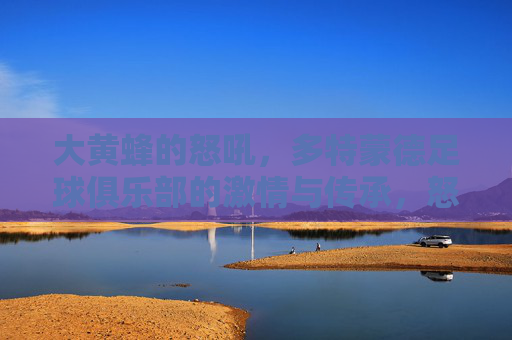大黄蜂的怒吼，多特蒙德足球俱乐部的激情与传承，怒吼大黄蜂，多特蒙德的激情传承
