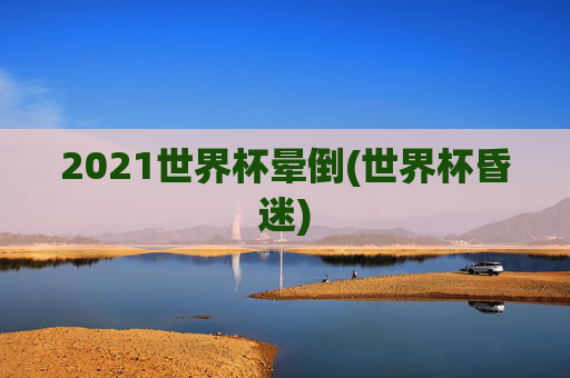 2021世界杯晕倒(世界杯昏迷)