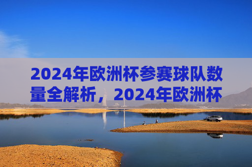 2024年欧洲杯参赛球队数量全解析,2024年欧洲杯参赛球队数量全解析