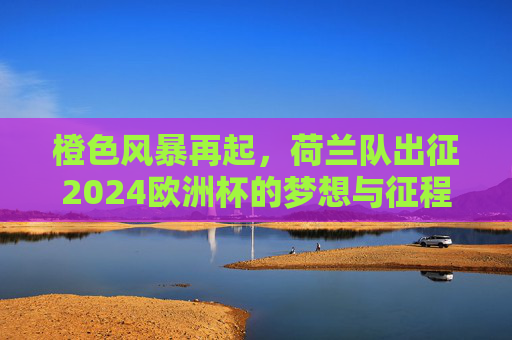 橙色风暴再起,荷兰队出征2024欧洲杯的梦想与征程,橙色风暴再起,荷兰队2024欧洲杯梦想征程