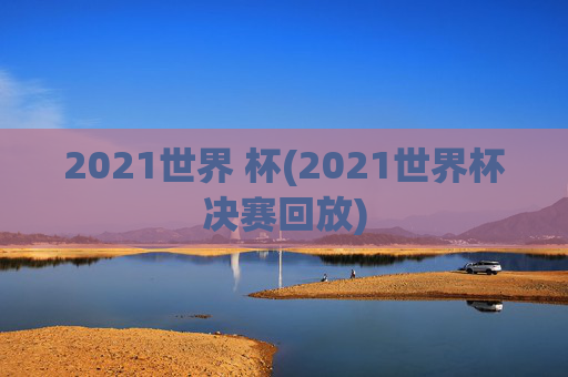2021世界 杯(2021世界杯决赛回放)