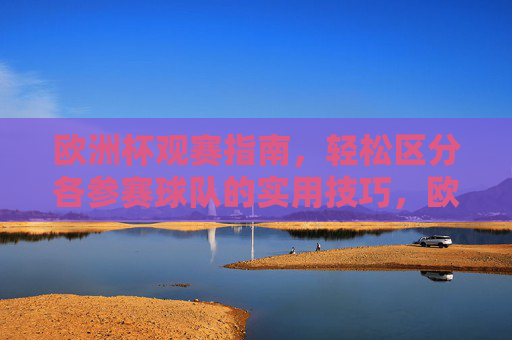 欧洲杯观赛指南,轻松区分各参赛球队的实用技巧,欧洲杯观赛指南,轻松区分各参赛球队的实用技巧