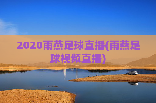 2020雨燕足球直播(雨燕足球视频直播)