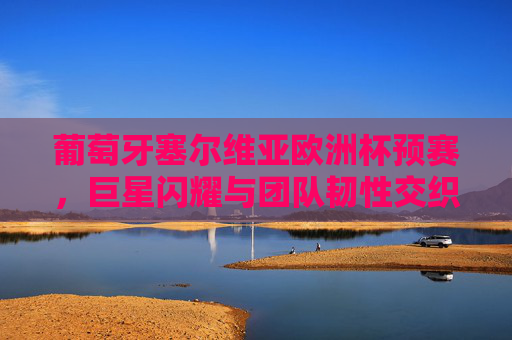 葡萄牙塞尔维亚欧洲杯预赛，巨星闪耀与团队韧性交织的出线生死战，葡萄牙塞尔维亚欧洲杯预赛，巨星闪耀与团队韧性的出线生死战