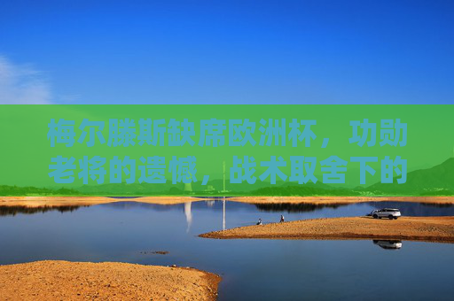 梅尔滕斯缺席欧洲杯，功勋老将的遗憾，战术取舍下的必然选择，梅尔滕斯缺席欧洲杯，功勋老将的遗憾与战术取舍的必然