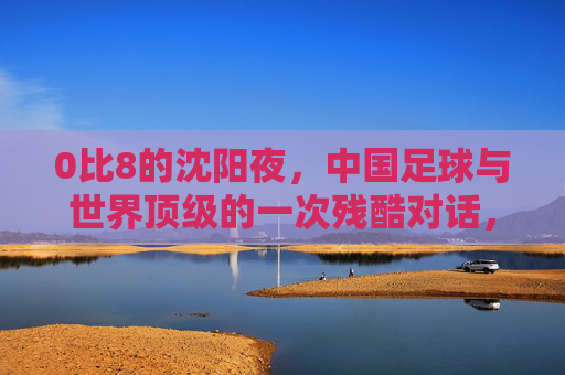 0比8的沈阳夜,中国足球与世界顶级的一次残酷对话,0比8的沈阳夜,中国足球与世界顶级的残酷对话