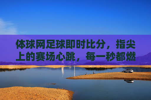 体球网足球即时比分,指尖上的赛场心跳,每一秒都燃胜负悬念