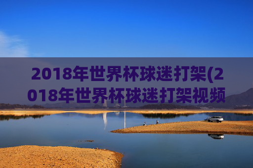 2018年世界杯球迷打架(2018年世界杯球迷打架视频)