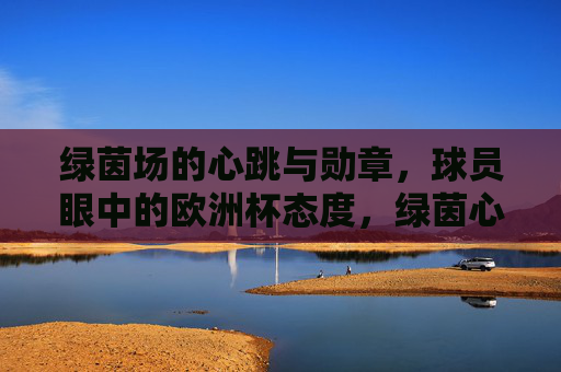 绿茵场的心跳与勋章,球员眼中的欧洲杯态度,绿茵心跳与勋章,球员的欧洲杯态度