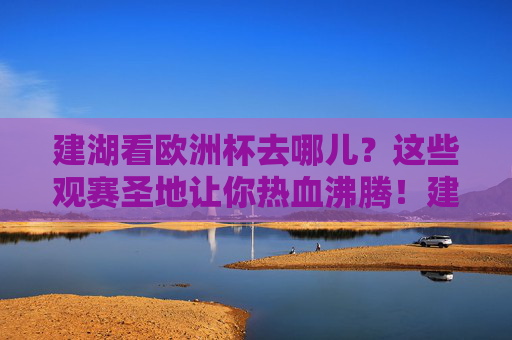 建湖看欧洲杯去哪儿?这些观赛圣地让你热血沸腾!建湖欧洲杯观赛圣地,热血沸腾看球好去处!