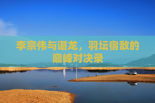 李宗伟与谌龙,羽坛宿敌的巅峰对决录