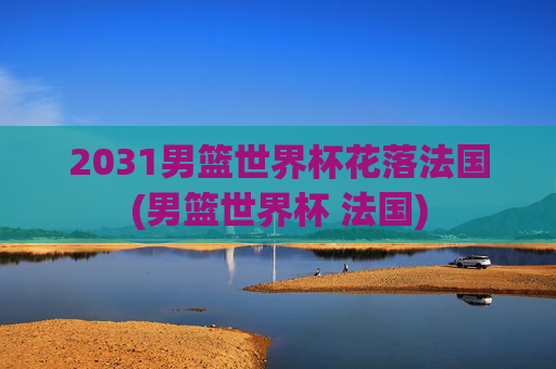 2031男篮世界杯花落法国(男篮世界杯 法国)