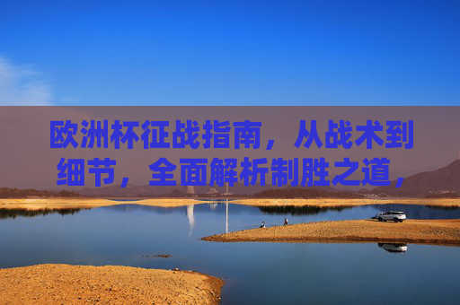 欧洲杯征战指南,从战术到细节,全面解析制胜之道,欧洲杯征战指南,战术到细节的制胜之道