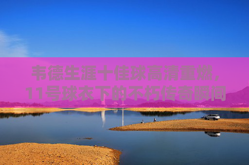 韦德生涯十佳球高清重燃,11号球衣下的不朽传奇瞬间,韦德生涯十佳球,11号球衣下的不朽传奇瞬间