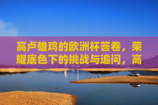 高卢雄鸡的欧洲杯答卷，荣耀底色下的挑战与追问，高卢雄鸡欧洲杯答卷，荣耀底色下的挑战与追问