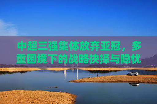 中超三强集体放弃亚冠,多重困境下的战略抉择与隐忧,中超三强集体放弃亚冠,多重困境下的战略抉择与隐忧