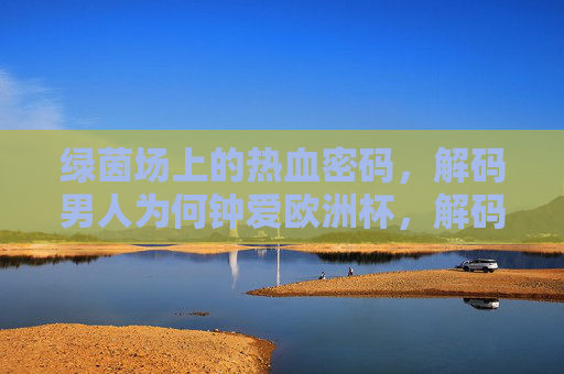 绿茵场上的热血密码,解码男人为何钟爱欧洲杯,解码男人钟爱欧洲杯,绿茵场上的热血密码